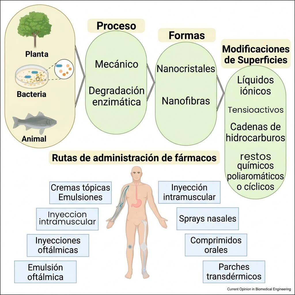 18. Modificaciones superficiales de la nanocelulosa para aplicaciones en liberación de fármacos: Una revisión crítica